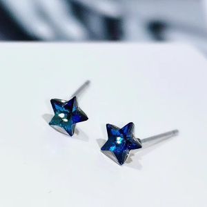Swarovski Crystal Setting In Silver Stud Earrings