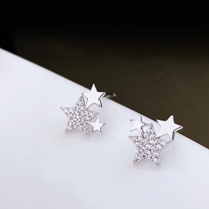 White Gold Plated Silver Star Earrings