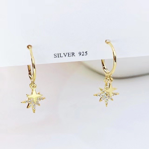 Silver, 14k Gold Plated with Cz Stone Star Earrings